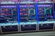 11kk vom: como a visão de oportunidade e mercado pode transformar onze milhões em um futuro promissor