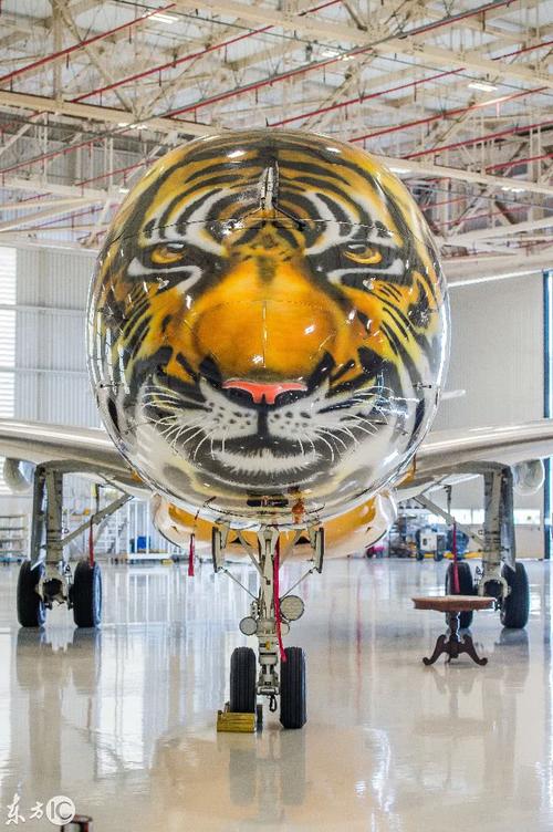11kk.con: como uma plataforma digital pode transformar a experiência do usuário brasileiro